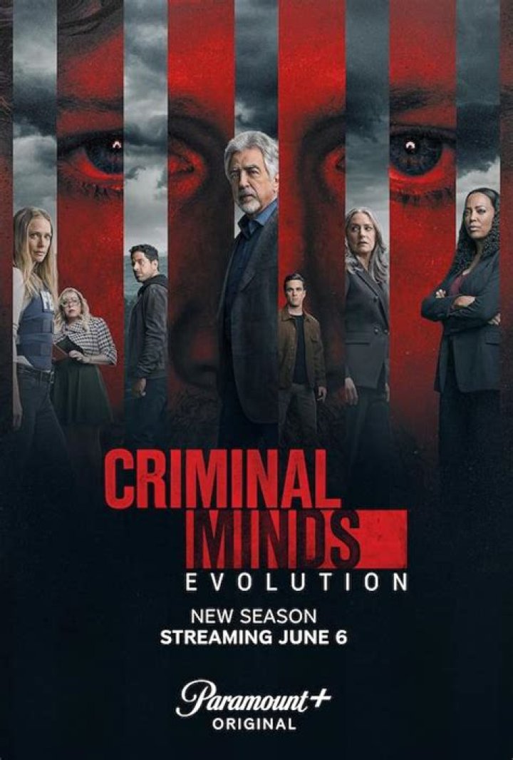 Criminal Minds Postes Tv Series Posters and Cast