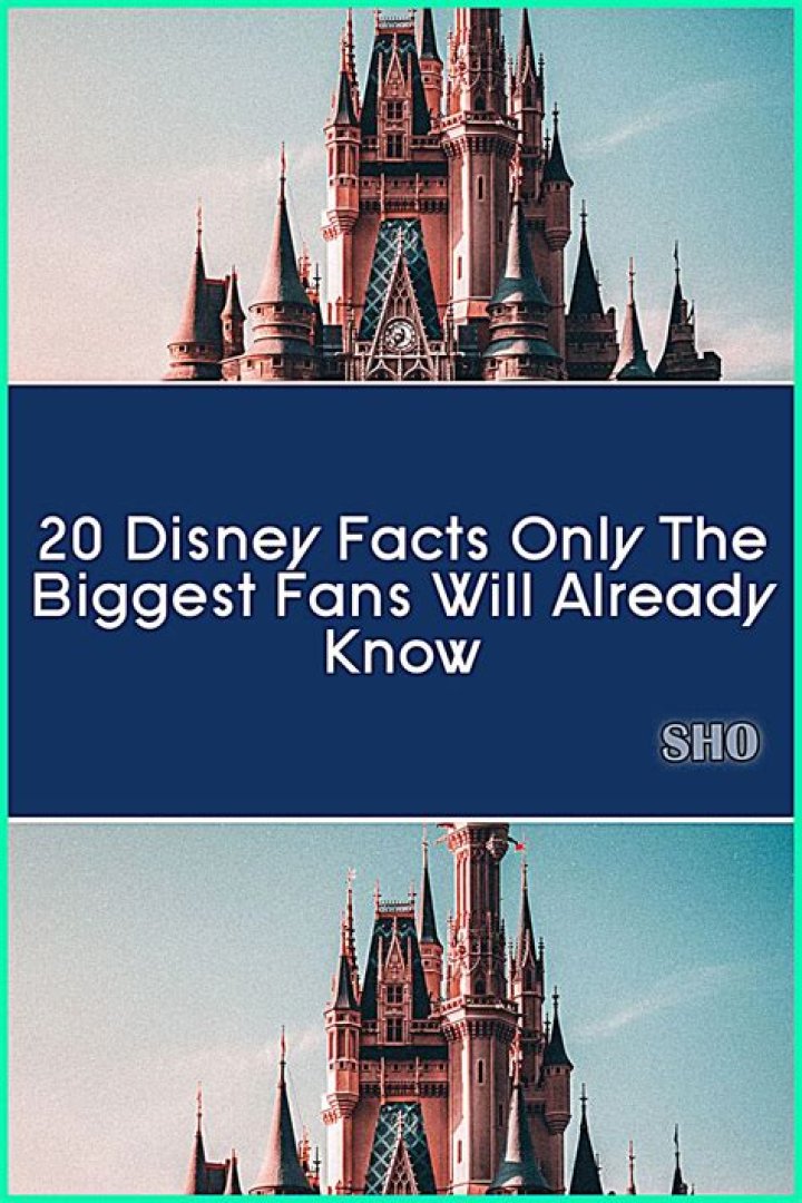 Facts Only Huge Fans Know