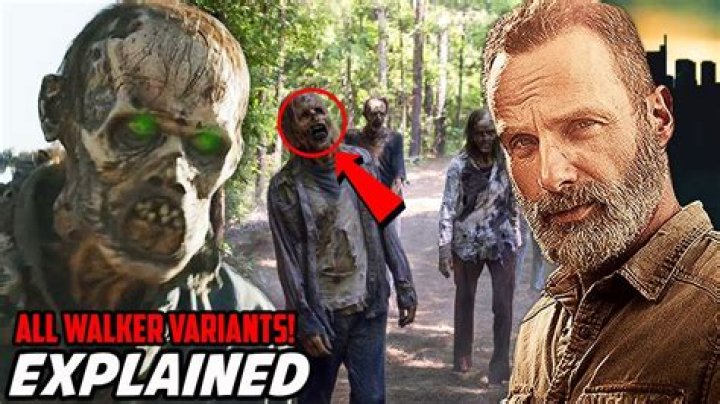 The Walking Dead Showrunner Explains 