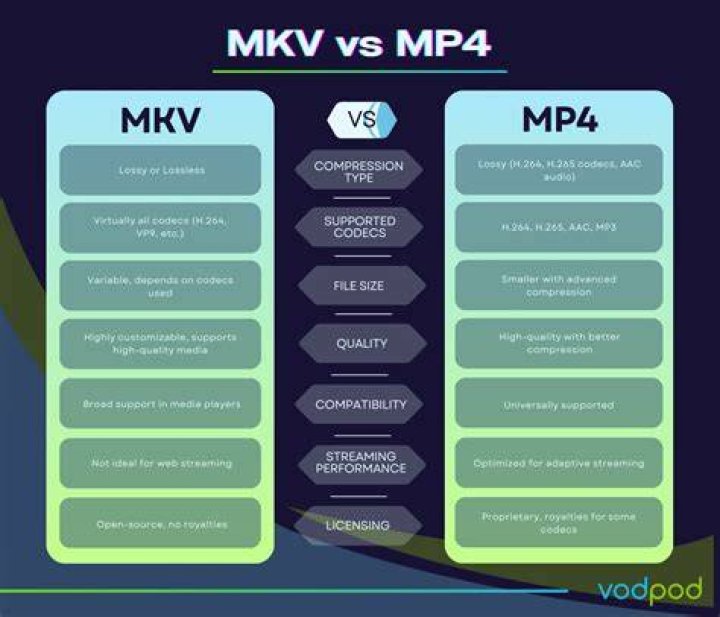 What is the Mkv website?